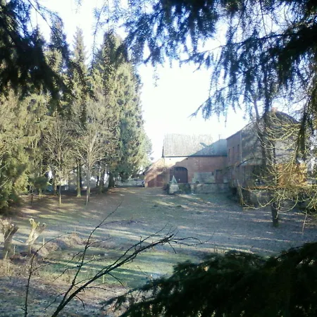 Cornelia Somme-Leuze