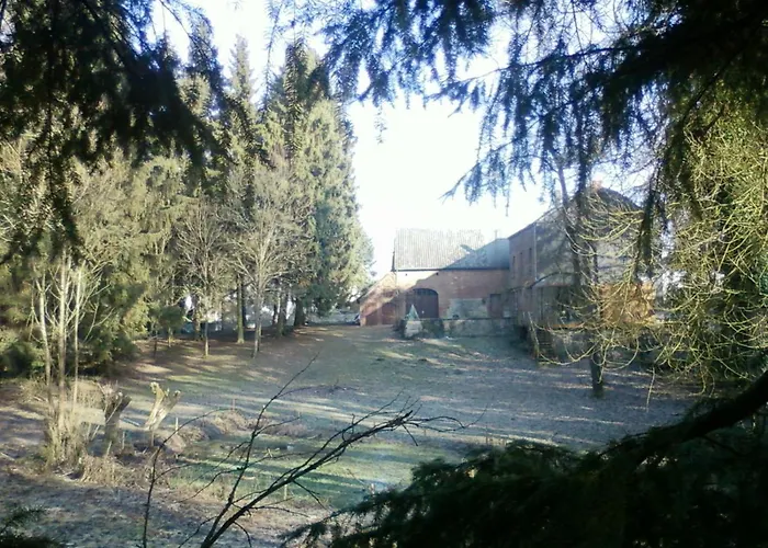 Cornelia Somme-Leuze